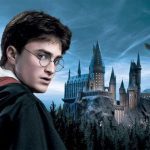 harry potter premisa
