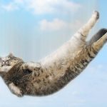 istockphoto 460102633 612x612 1